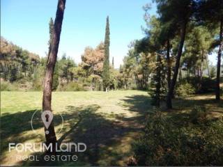 Forumland Real Estate, Aγροτεμάχιο 29.576τμ