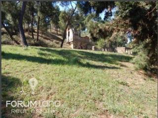 Forumland Real Estate, Aγροτεμάχιο 29.576τμ