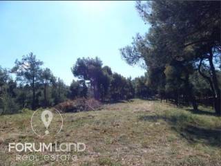 Forumland Real Estate, Aγροτεμάχιο 29.576τμ