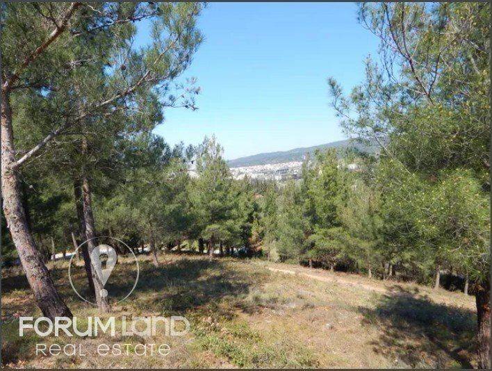 Forumland Real Estate, Aγροτεμάχιο 29.576τμ