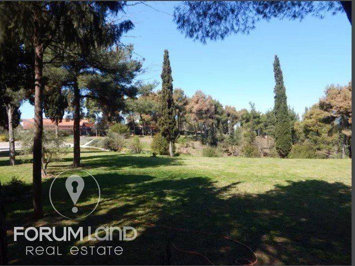 Forumland Real Estate, Aγροτεμάχιο 29.576τμ