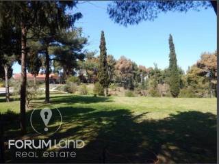 Forumland Real Estate, Aγροτεμάχιο 29.576τμ