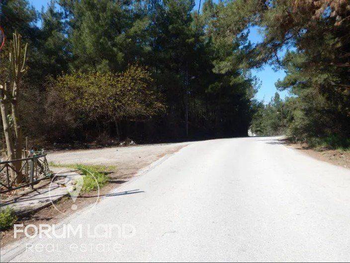 Forumland Real Estate, Aγροτεμάχιο 29.576τμ