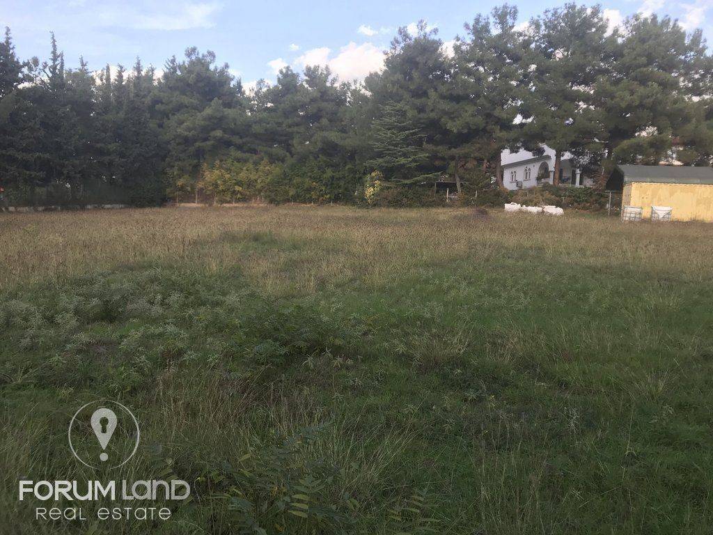 forumland Real Estate, 5.100τμ. αγροτεμάχιο