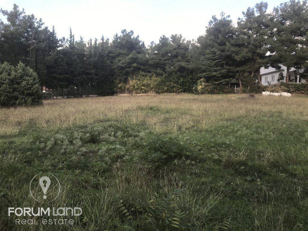 forumland Real Estate, 5.100τμ. αγροτεμάχιο