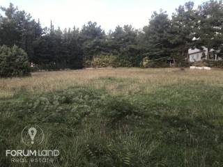 forumland Real Estate, 5.100τμ. αγροτεμάχιο