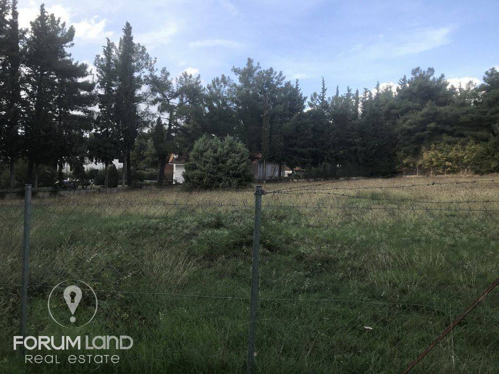 forumland Real Estate, 5.100τμ. αγροτεμάχιο