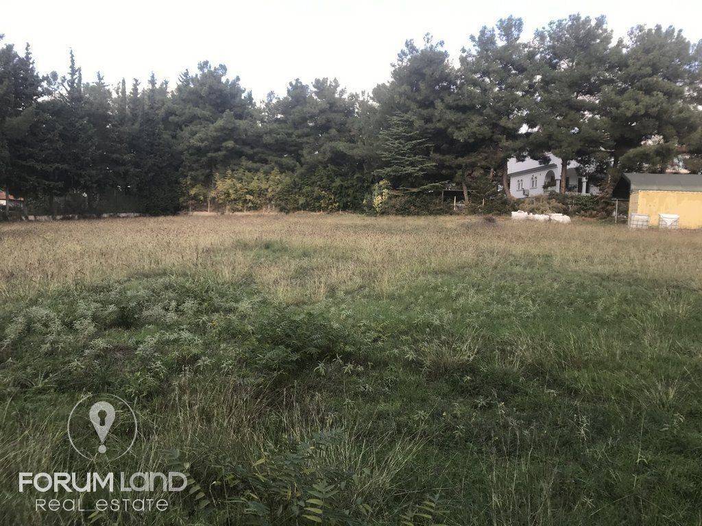 forumland Real Estate, 5.100τμ. αγροτεμάχιο