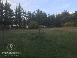 forumland Real Estate, 5.100τμ. αγροτεμάχιο