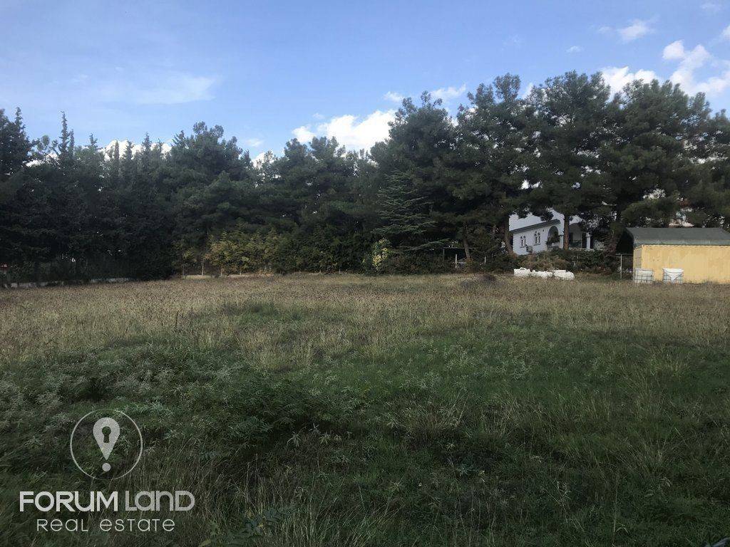 forumland Real Estate, 5.100τμ. αγροτεμάχιο