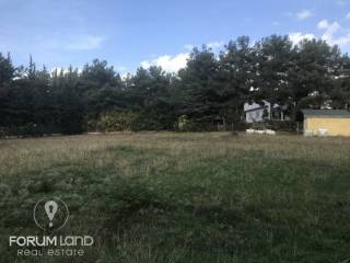 forumland Real Estate, 5.100τμ. αγροτεμάχιο