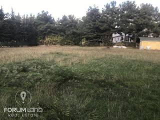 forumland Real Estate, 5.100τμ. αγροτεμάχιο