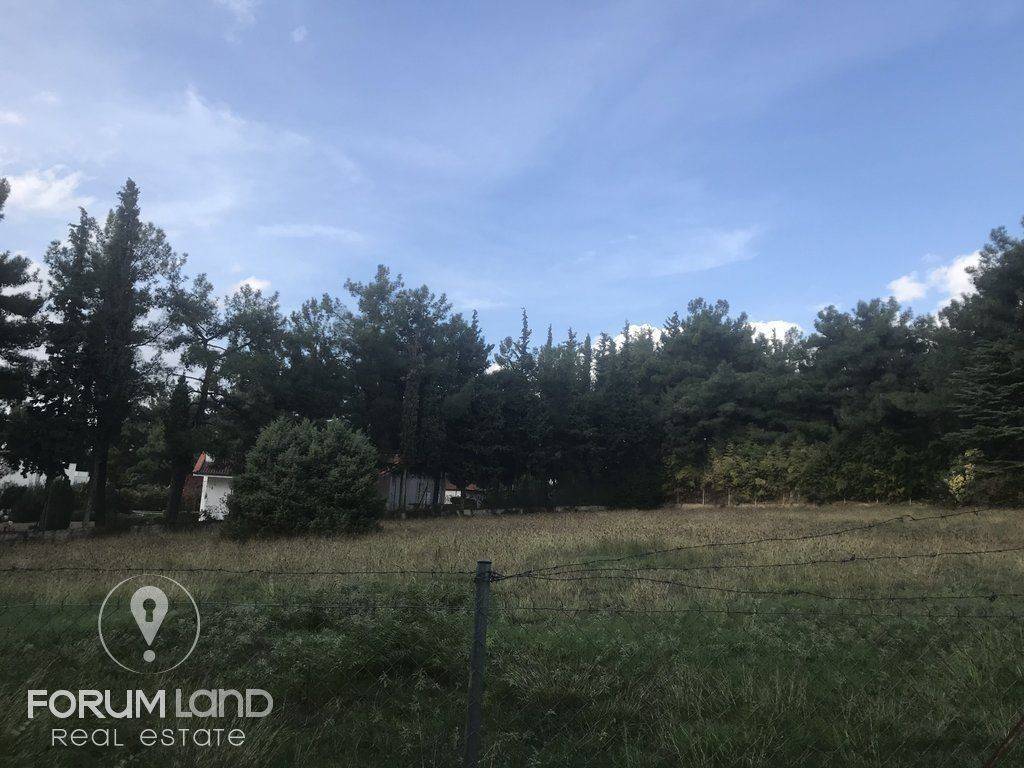 forumland Real Estate, 5.100τμ. αγροτεμάχιο