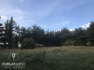 forumland Real Estate, 5.100τμ. αγροτεμάχιο