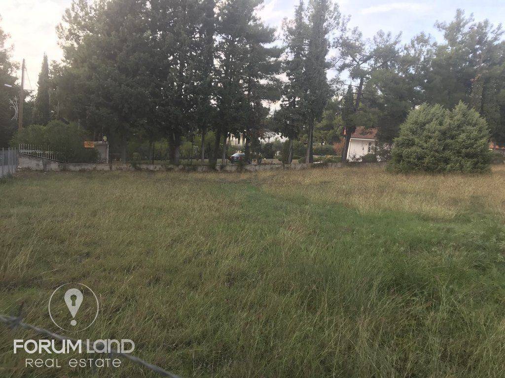 forumland Real Estate, 5.100τμ. αγροτεμάχιο