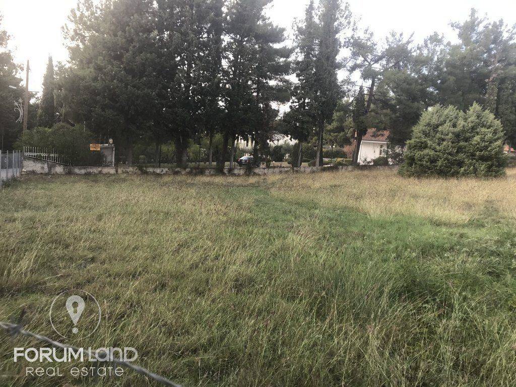 forumland Real Estate, 5.100τμ. αγροτεμάχιο