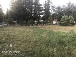 forumland Real Estate, 5.100τμ. αγροτεμάχιο