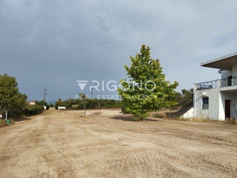 Άποψη χώρου