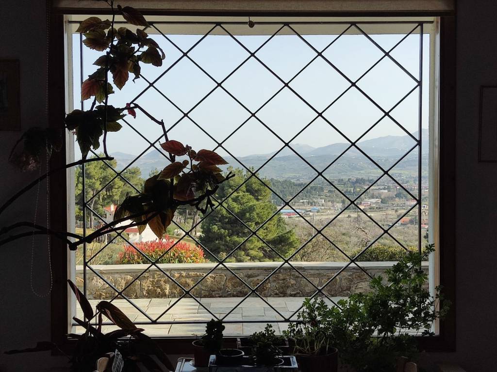 θέα από το παράθυρο του σαλονιού