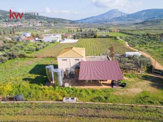 Εξωτερικοι χώροι