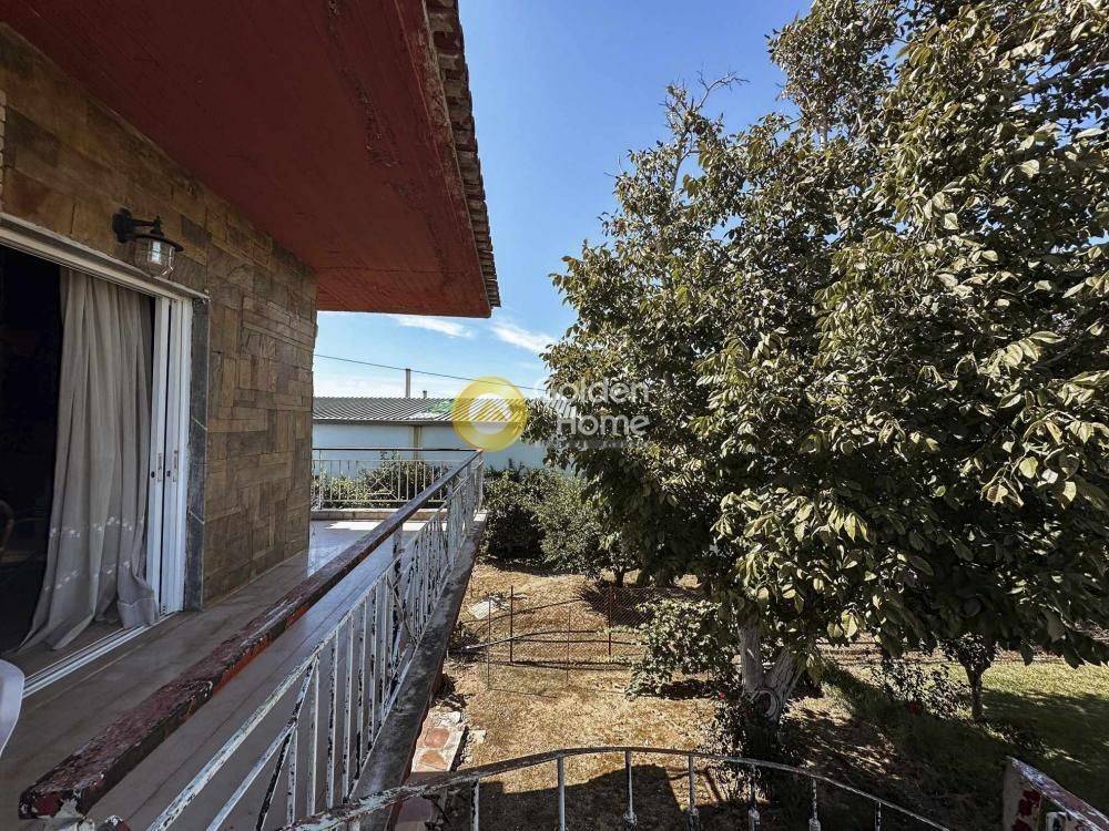 Εξωτερικός Χώρος