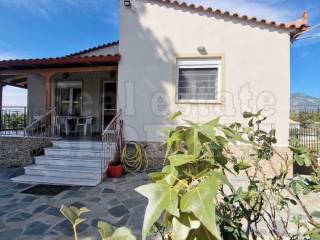 ΜΟΝΟΚΑΤΟΙΚΙΑ