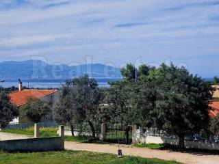 ΘΕΑ ΘΑΛΑΣΣΑ