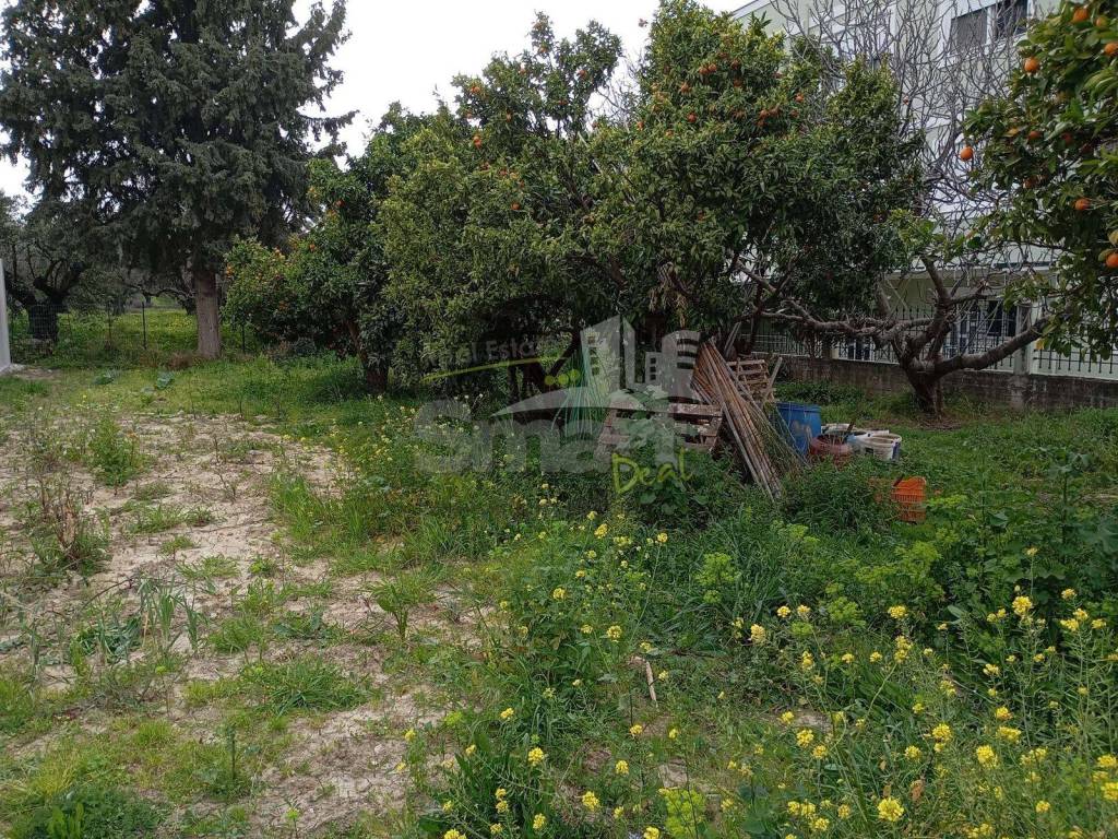 Εξωτερικοι χώροι