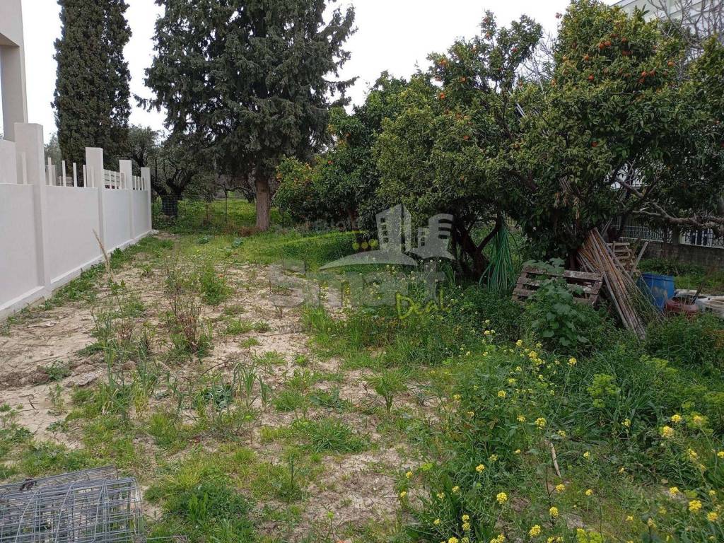 Εξωτερικοι χώροι