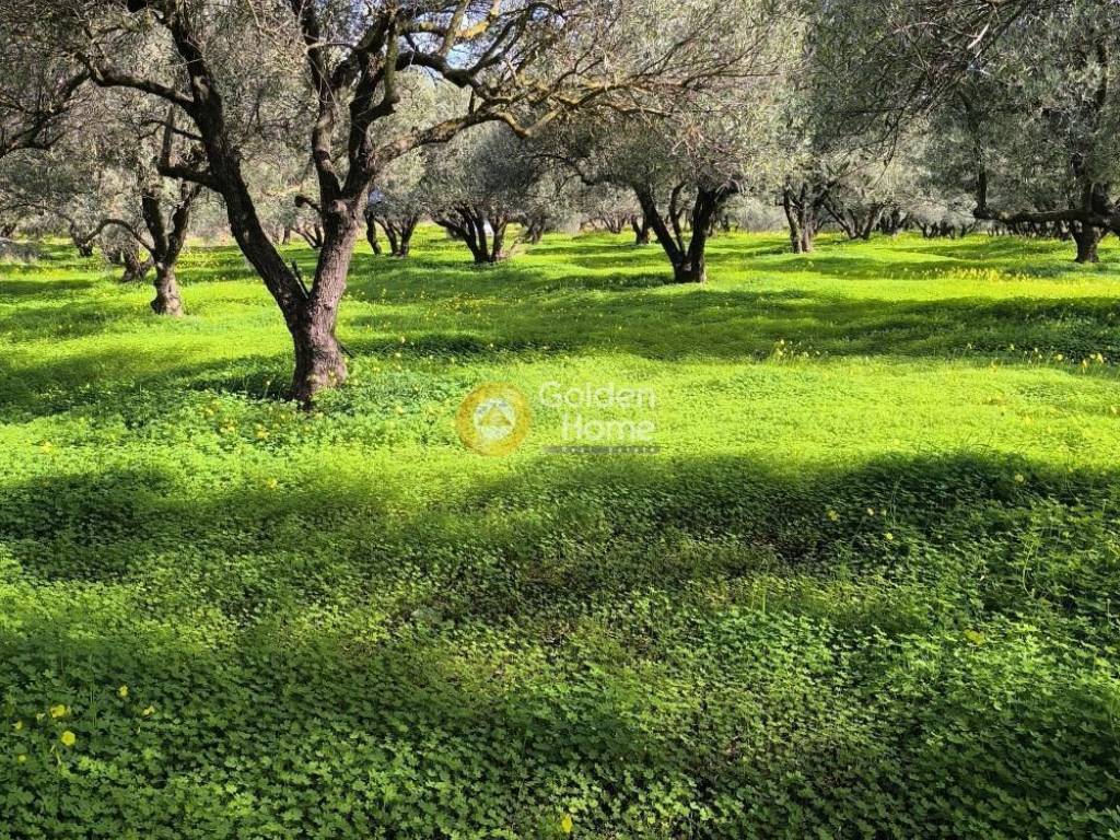 Εξωτερικός Χώρος
