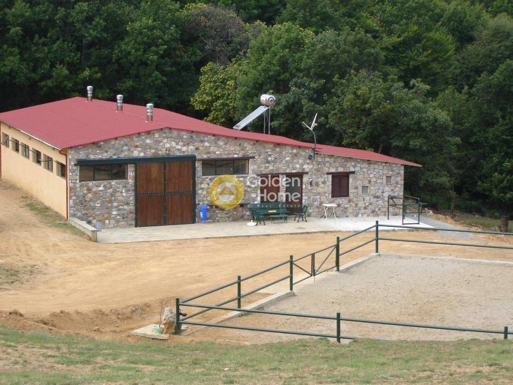 Εξωτερικός Χώρος