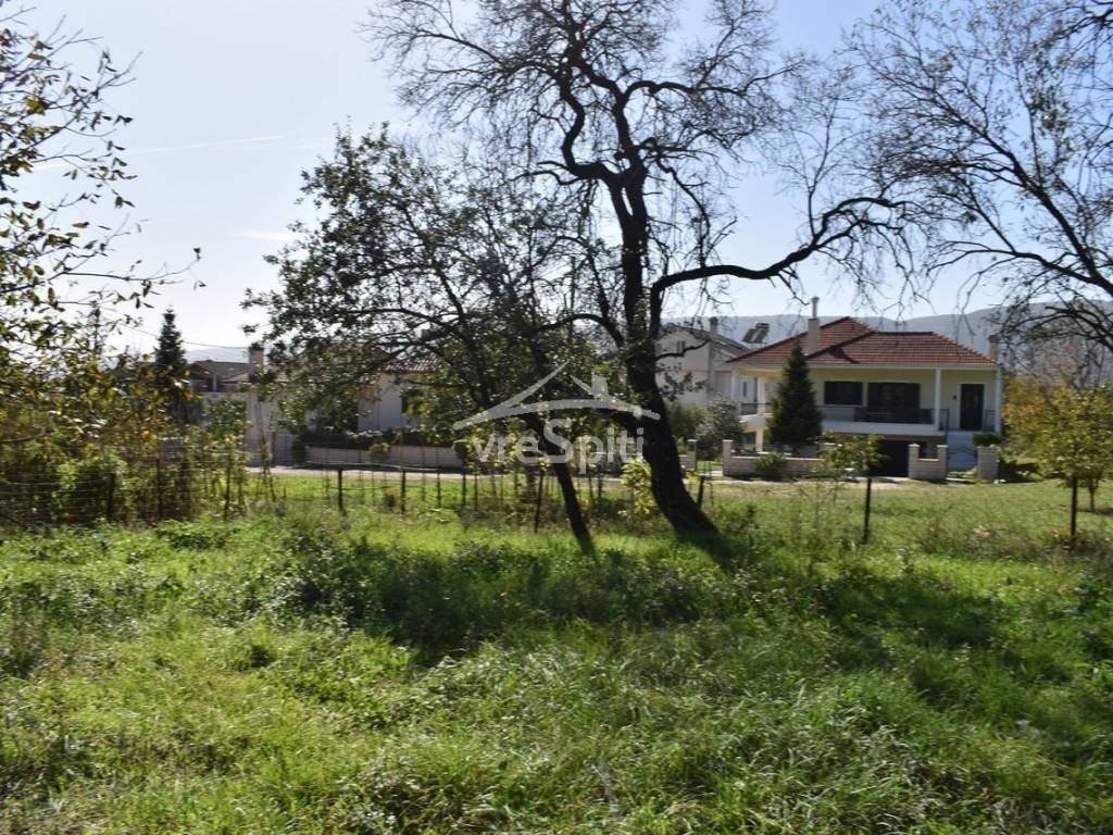 ΑΠΟΨΗ ΟΙΚΟΠΕΔΟΥ