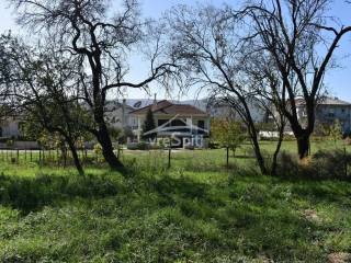 ΑΠΟΨΗ ΟΙΚΟΠΕΔΟΥ