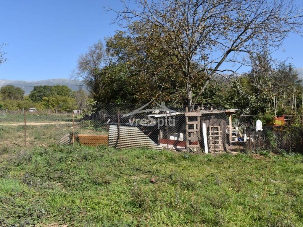 ΑΠΟΨΗ ΟΙΚΟΠΕΔΟΥ