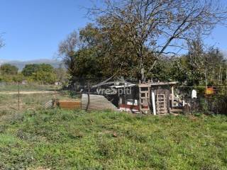 ΑΠΟΨΗ ΟΙΚΟΠΕΔΟΥ