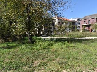 ΑΠΟΨΗ ΟΙΚΟΠΕΔΟΥ