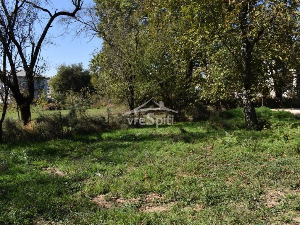 ΑΠΟΨΗ ΟΙΚΟΠΕΔΟΥ