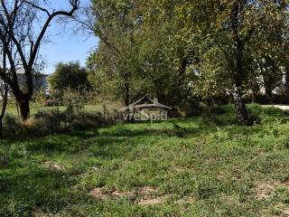 ΑΠΟΨΗ ΟΙΚΟΠΕΔΟΥ