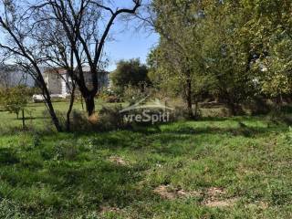 ΑΠΟΨΗ ΟΙΚΟΠΕΔΟΥ