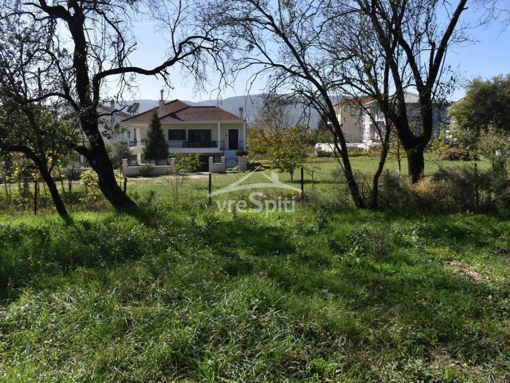 ΑΠΟΨΗ ΟΙΚΟΠΕΔΟΥ