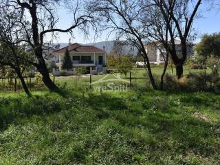 ΑΠΟΨΗ ΟΙΚΟΠΕΔΟΥ