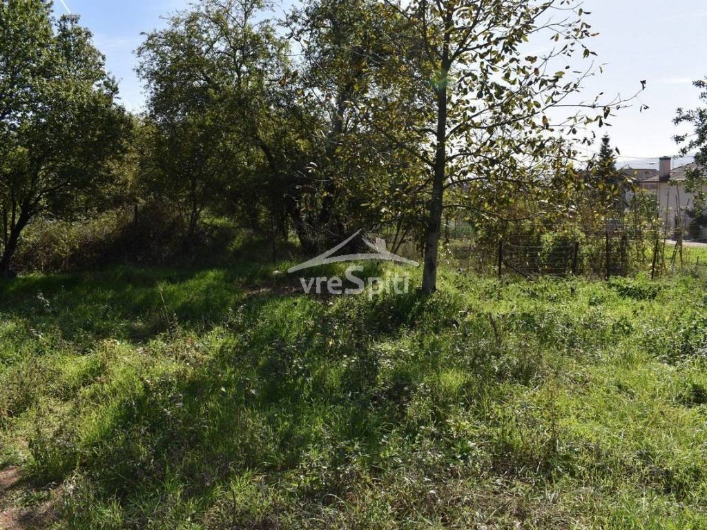 ΑΠΟΨΗ ΟΙΚΟΠΕΔΟΥ