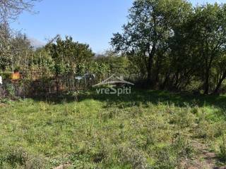 ΑΠΟΨΗ ΟΙΚΟΠΕΔΟΥ