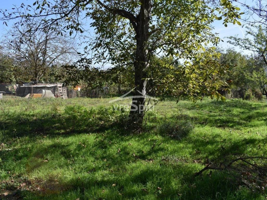 ΑΠΟΨΗ ΟΙΚΟΠΕΔΟΥ