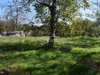 ΑΠΟΨΗ ΟΙΚΟΠΕΔΟΥ