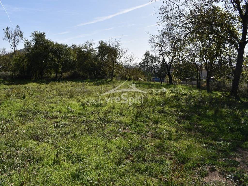 ΑΠΟΨΗ ΟΙΚΟΠΕΔΟΥ