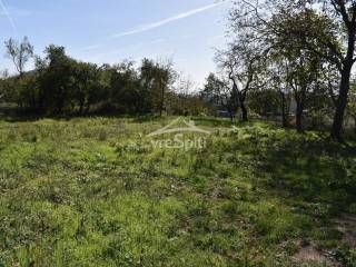 ΑΠΟΨΗ ΟΙΚΟΠΕΔΟΥ