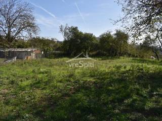 ΑΠΟΨΗ ΟΙΚΟΠΕΔΟΥ