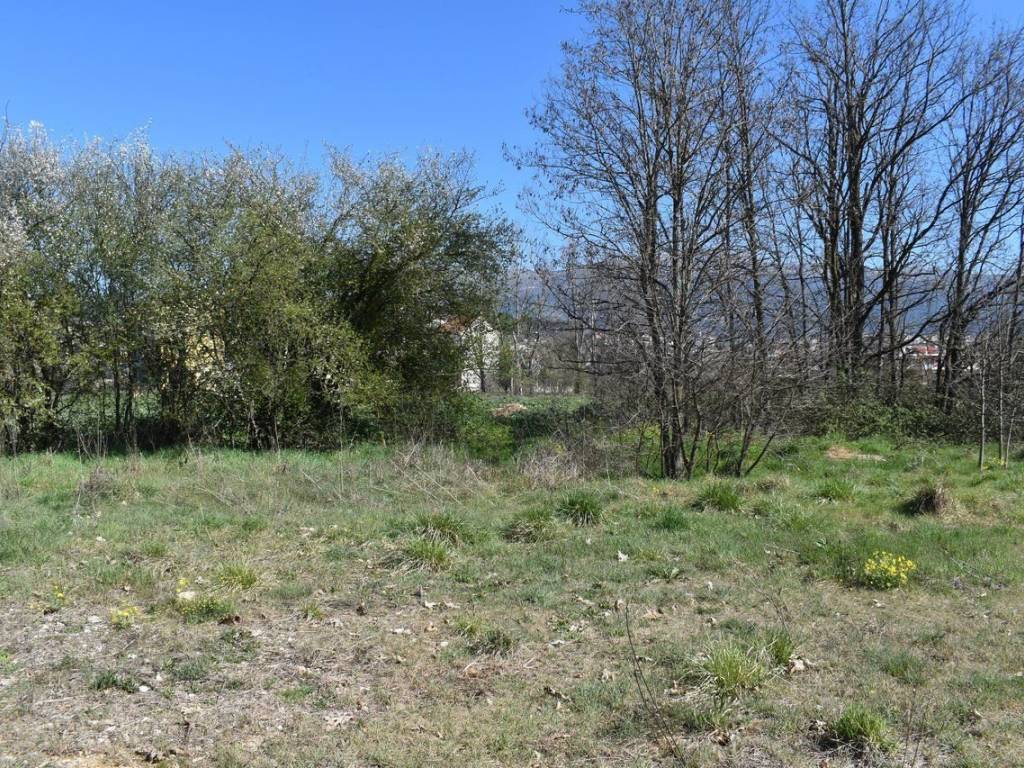 ΑΠΟΨΗ ΟΙΚΟΠΕΔΟΥ