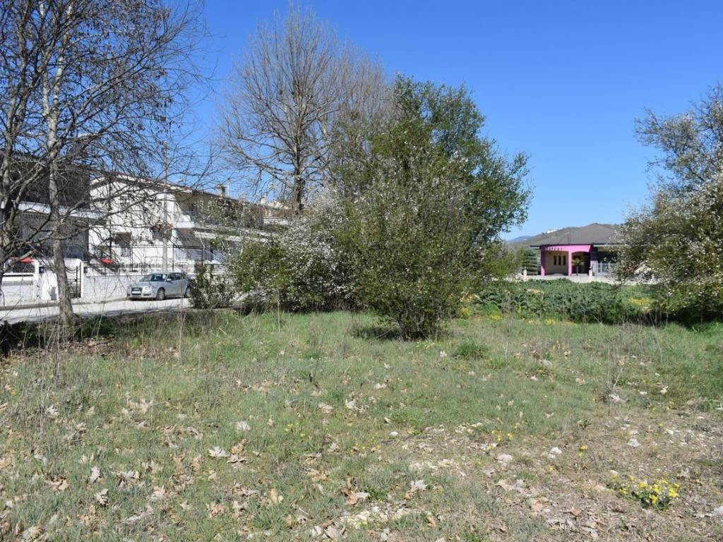 ΑΠΟΨΗ ΟΙΚΟΠΕΔΟΥ